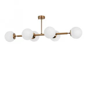 Luster Fazli - 10501