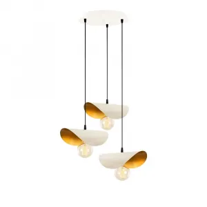 Luster Sivani - MR - 964