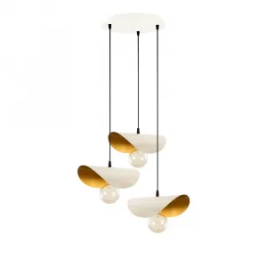 Luster Sivani - MR - 964