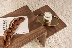 Konferenčný stolík Harmony Walnut