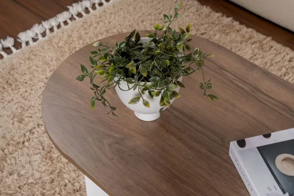 Konferenčný stolík Sable - Walnut, White