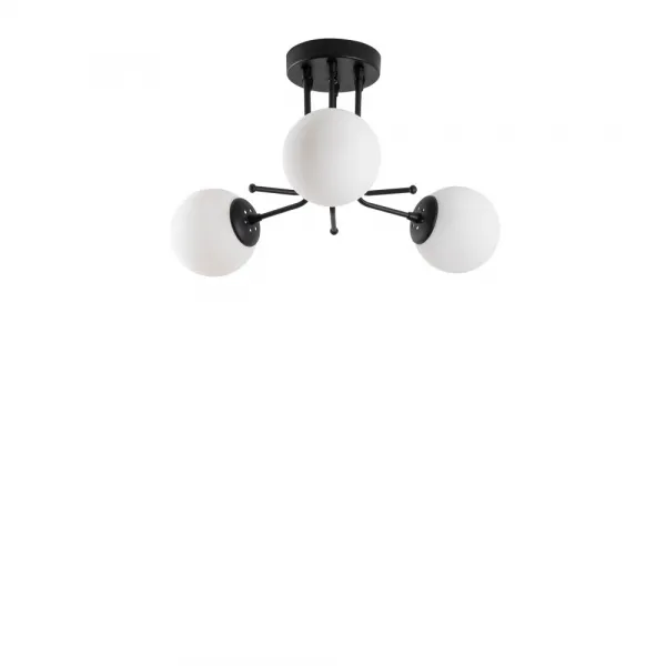Luster Daisy-147-AV3