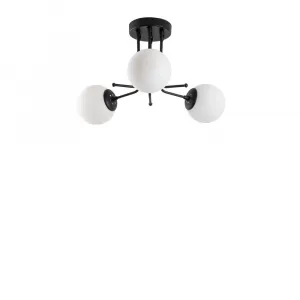 Luster Daisy-147-AV3