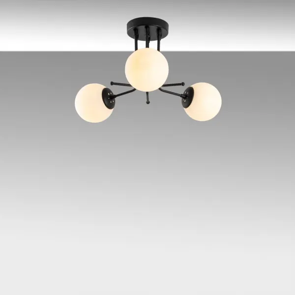 Luster Daisy-147-AV3