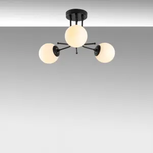 Luster Daisy-147-AV3