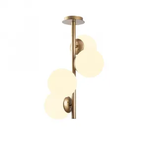 Luster Faze - NT - 138