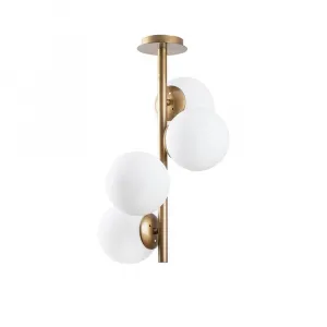 Luster Faze - NT - 138