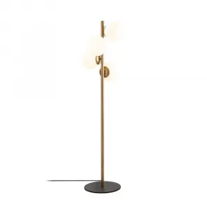 Stojacia lampa Faze - NT - 115