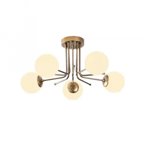 Luster Daisy - 146-AV2