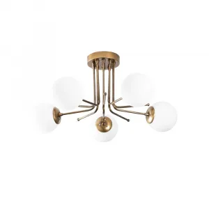 Luster Daisy - 146-AV2