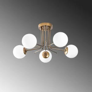 Luster Daisy - 146-AV2