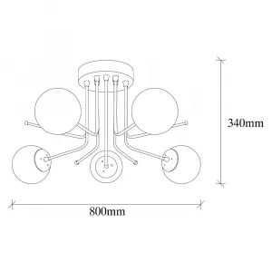 Luster Daisy - 146-AV2