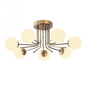 Luster Daisy - 146-AV