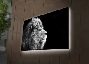 Dekoratívny LED osvetlený obraz na plátne 4570DHDACT-058