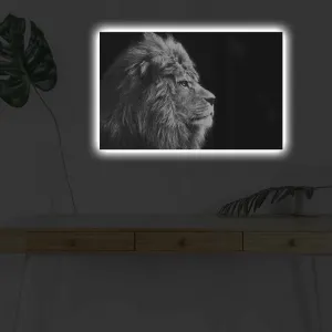 Dekoratívny LED osvetlený obraz na plátne 4570DHDACT-058