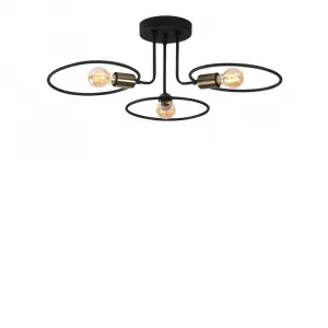 Luster Circle - 1341