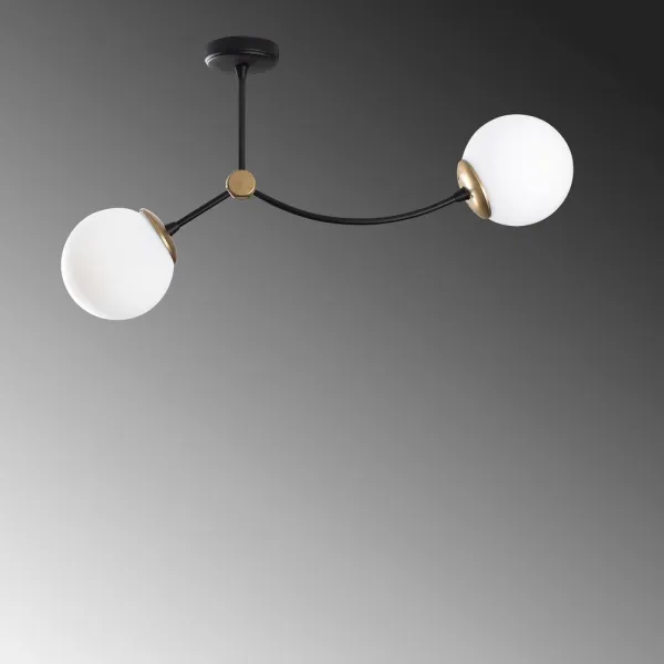Luster Kromozom - 1011