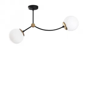Luster Kromozom - 1011