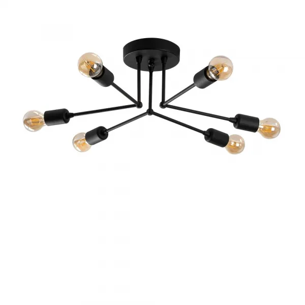 Luster Sparrow - 1231