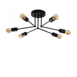 Luster Sparrow - 1231