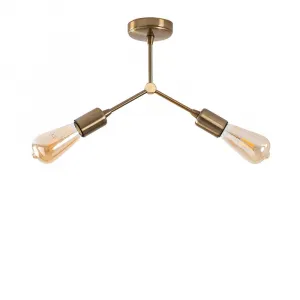 Luster Sparrow - 1251
