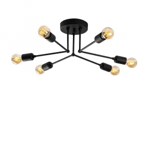 Luster Sparrow - 1231