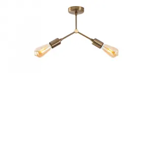 Luster Sparrow - 1251