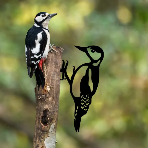 Záhradná dekorácia Bird On The Branch 01 - Black