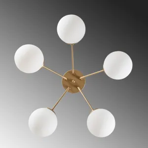 Luster Orıon - 13961