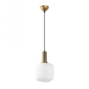 Luster Asker - 15186