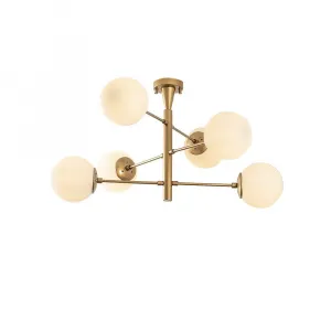 Luster Arge - 10173