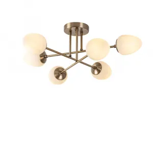 Luster Camflo - 10390