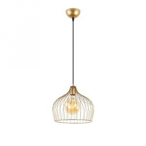 Luster Bek - 11371