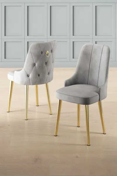 Súprava stoličiek (2 kusy) Newa - Grey, Gold