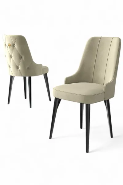 Súprava stoličiek (2 kusy) Newa - Cream, Black