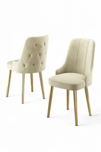 Súprava stoličiek (2 kusy) Newa - Cream, Gold