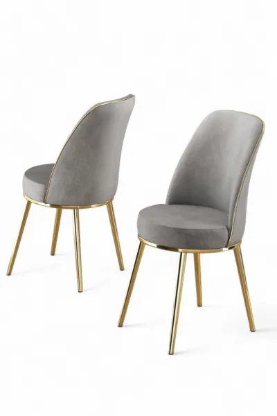Súprava stoličiek (2 kusy) Pefa - Grey, Gold