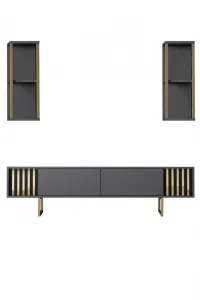 TV skrinka / Obývacia stena Gold Line - Anthracite, Black