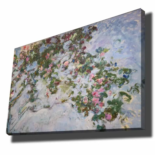 Dekoratívny obraz na plátne 70100MONET003
