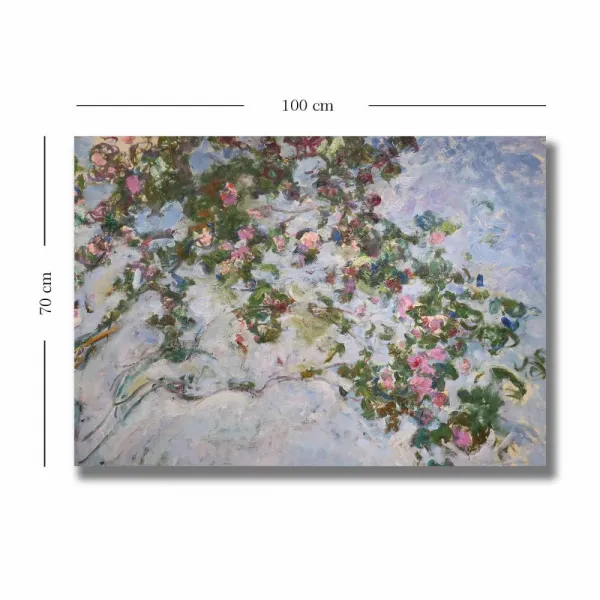 Dekoratívny obraz na plátne 70100MONET003