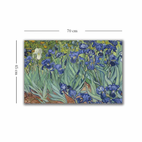 Dekoratívny obraz na plátne 4570VANGOGH035