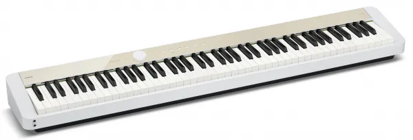 Casio PX S1100 MB