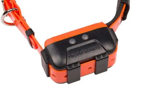Canicom Náhradný obojok a prijímač pre Canicom GPS2
