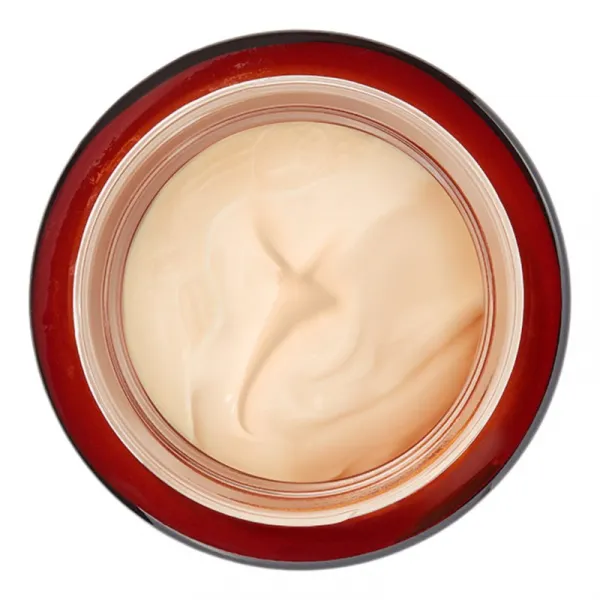 Collagenina Grade 2 Day Cream spevňujúci denný krém s kolagénom 50 ml