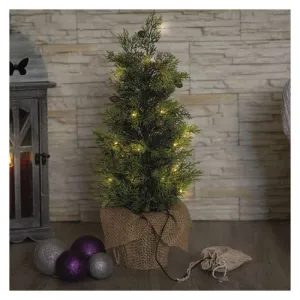 EMOS Vánoční světelný LED stromeček Skyla 50 cm zelený/teplý bílý