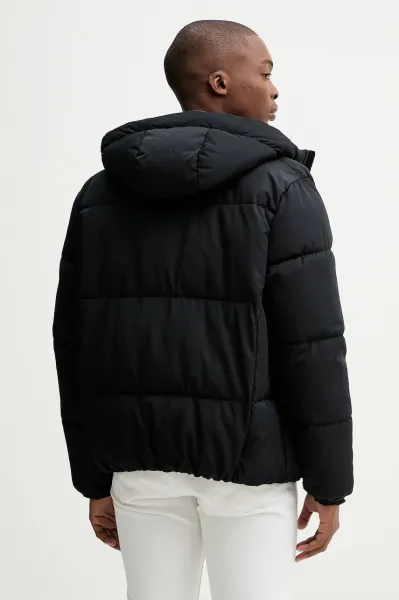 Bunda Hollister Co.