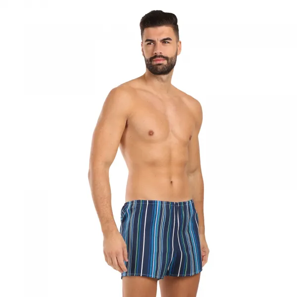Klasické pánske trenky Foltýn modré prúžky (K60) M, trenírky