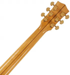 Sigma Guitars GJQA-SG200-AN