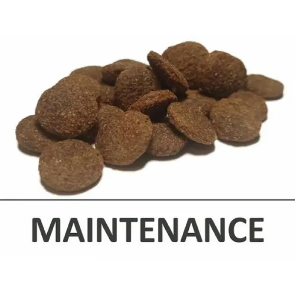 Delikan Dog Premium Maximo Maintenance 20kg
