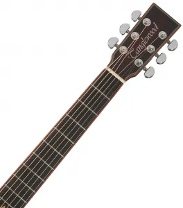 Tanglewood TWX4CE K